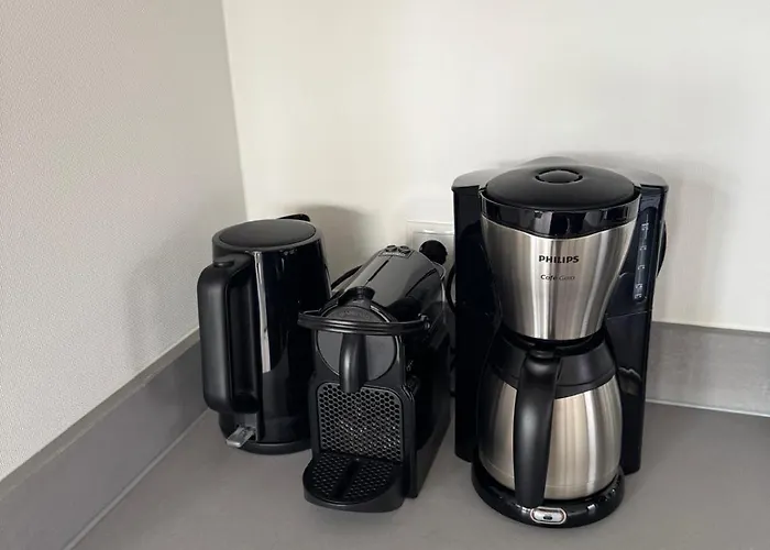 Vakantiehuis Enkhuizer Enkhuizer Hof Nr 453 *